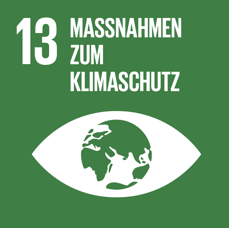 SDG 13 - Climate Action